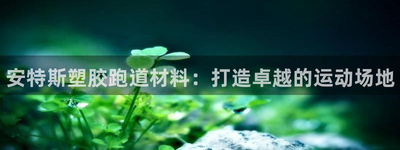 尊龙一人生就是搏：安特斯塑胶跑道材料：打造卓越的运动场地