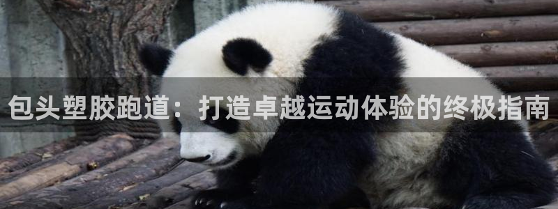 尊龙z6平台：包头塑胶跑道：打造卓越运动体验的终极指南