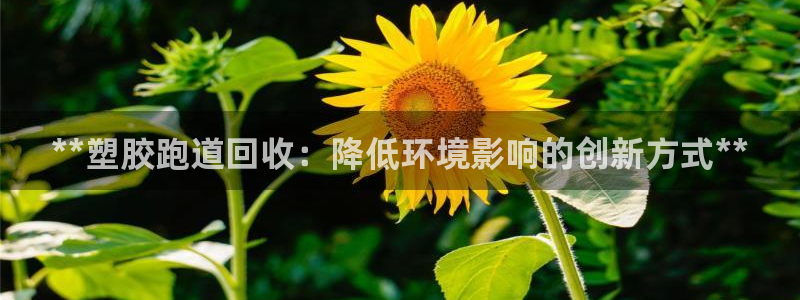 尊龙凯时总部在哪里：**塑胶跑道回收：降低环境影响的