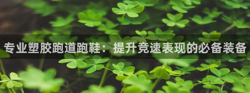 尊龙z6网址：专业塑胶跑道跑鞋：提升竞速表现的必备装备