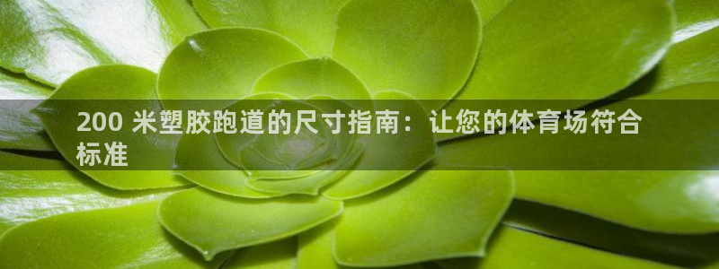 z6尊龙凯时ag旗舰厅：200 米塑胶跑道的尺寸指南：让您的体育场符合
标准