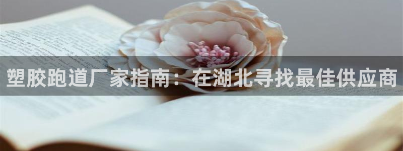 尊龙d88ag官方网站：塑胶跑道厂家指南：在湖北寻找