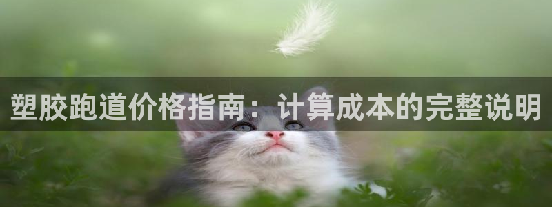 尊龙人生就是博管网：塑胶跑道价格指南：计算成本的完整说明