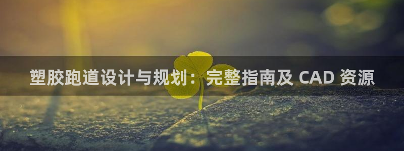 尊龙凯时一人生就是博登入：塑胶跑道设计与规划：完整指