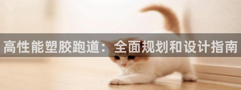 尊龙凯时企业文化：高性能塑胶跑道：全面规划和设计指南