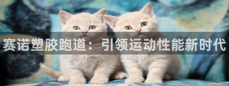尊龙凯时麻将胡了：赛诺塑胶跑道：引领运动性能新时代