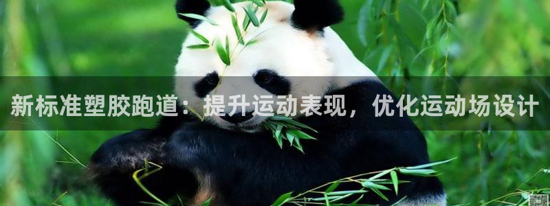 尊龙人生就是博AG旗舰厅：新标准塑胶跑道：提升运动表