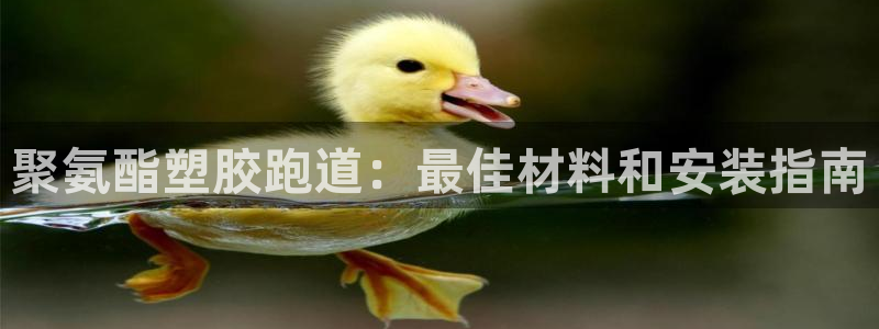 尊龙d88ag官方网站：聚氨酯塑胶跑道：最佳材料和安装指南