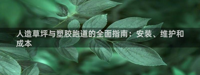 尊龙2016：人造草坪与塑胶跑道的全面指南：安装、维