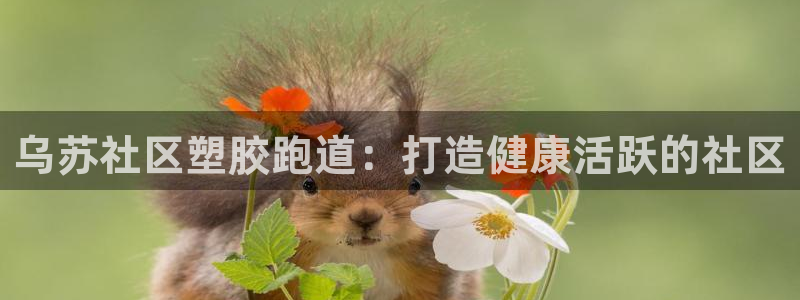 尊龙凯时有没有出不了款的情况：乌苏社区塑胶跑道：打造