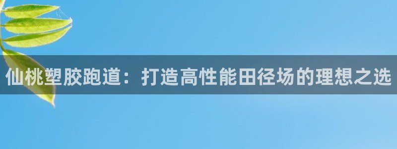 尊龙人生就是博一下下：仙桃塑胶跑道：打造高性能田径场