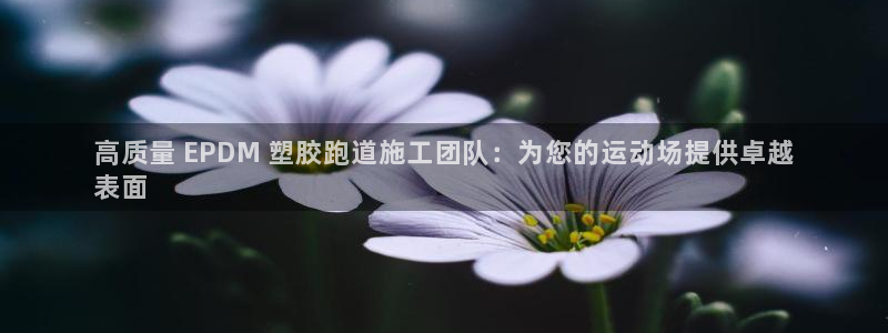 尊龙游戏官网：高质量 EPDM 塑胶跑道施工团队：为您的运动场提供卓越
表面