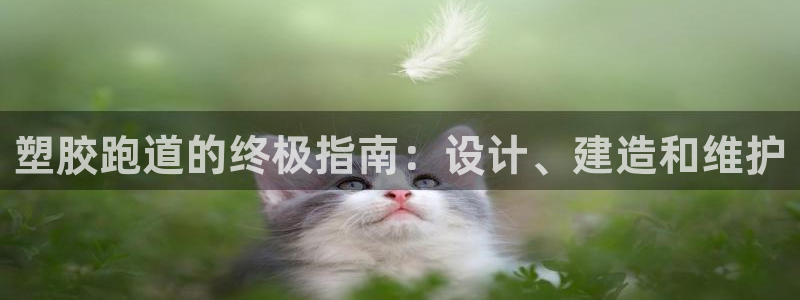 尊龙凯时品牌介绍：塑胶跑道的终极指南：设计、建造和维护