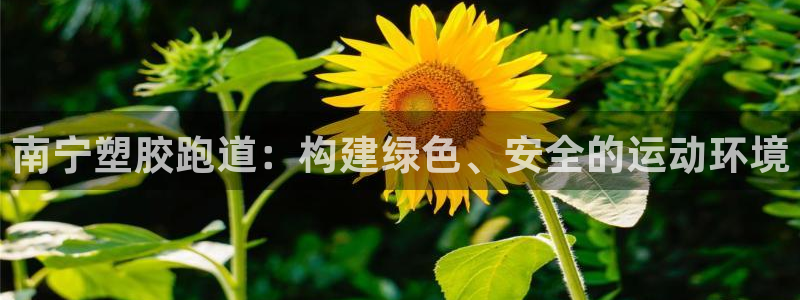 凯时效果怎么样