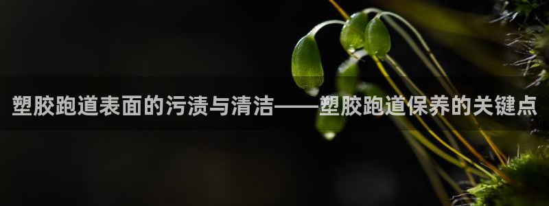 尊龙人生就是博ag