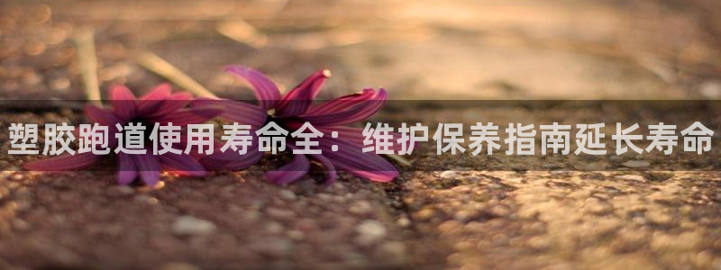 ag尊龙官方网站app：塑胶跑道使用寿命全：维护保养指南延长