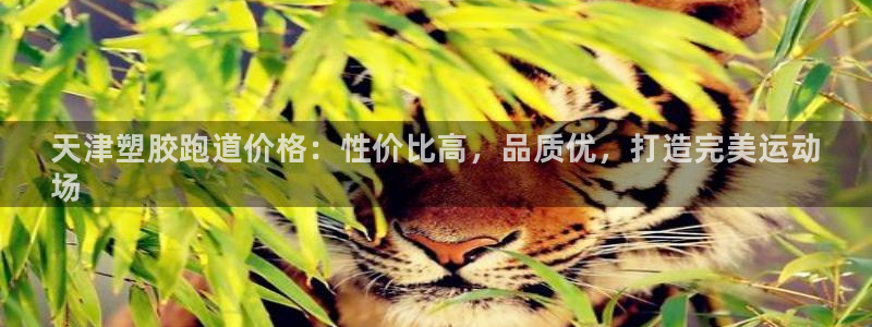 尊龙凯时合法吗?：天津塑胶跑道价格：性价比高，品质优，打造完