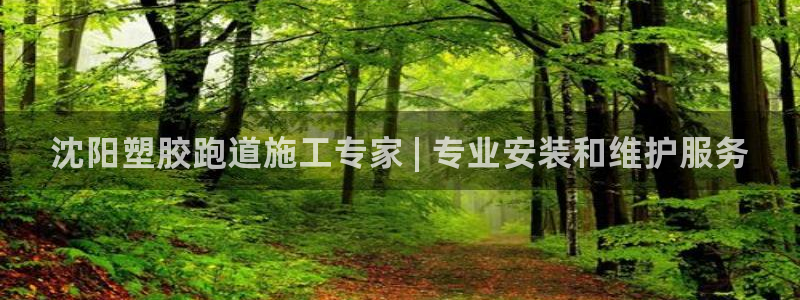 尊龙app最新版本官网：沈阳塑胶跑道施工专家 | 专业安装和