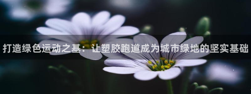尊龙网站 人生就是博