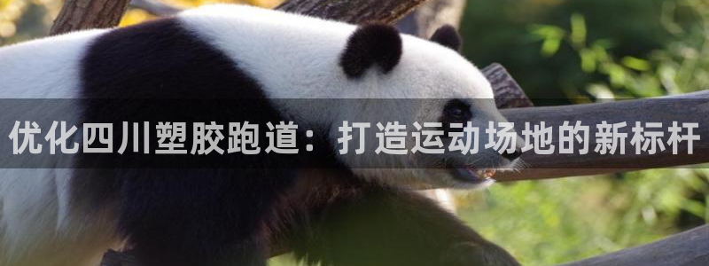 z6com尊龙凯时百家乐：优化四川塑胶跑道：打造运动