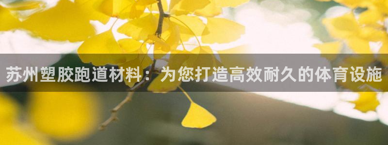 尊龙凯时不朽情缘：苏州塑胶跑道材料：为您打造高效耐久的体育设