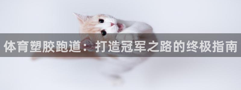 kb88凯时唯一官网注册：体育塑胶跑道：打造冠军之路