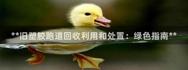 尊龙凯时人生就是博·(中国)官网首页：**旧塑胶跑道