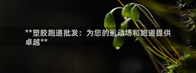 尊龙凯时人生就博官网登录：**塑胶跑道批发：为您的运