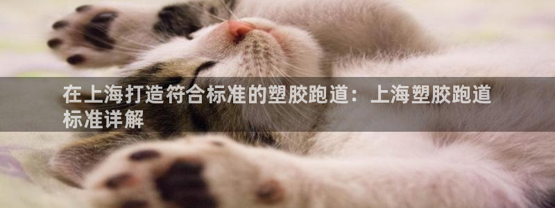 尊龙凯时官方下载：在上海打造符合标准的塑胶跑道：上海