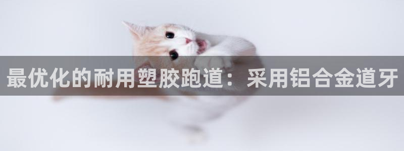 尊龙手机客户端下载：最优化的耐用塑胶跑道：采用铝合金道牙