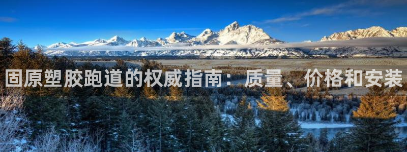 尊龙d88现金旧版本：固原塑胶跑道的权威指南：质量、价格和安