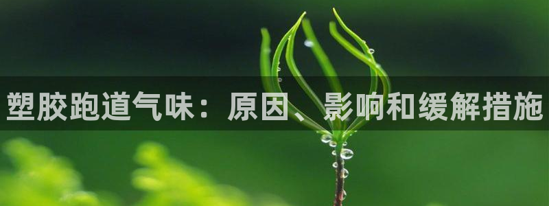 尊龙凯时网娱乐最新版：塑胶跑道气味：原因、影响和缓解措施