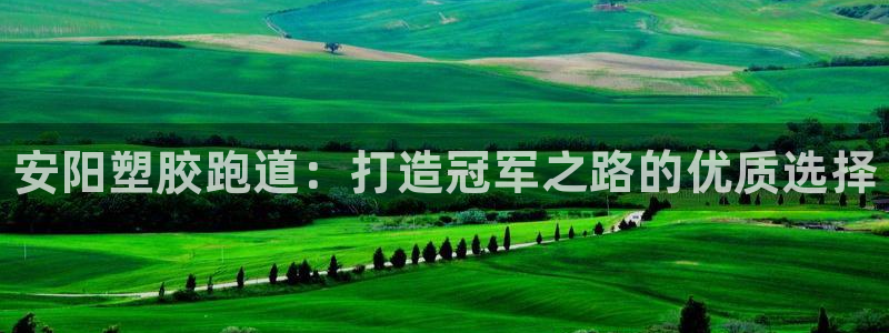 尊龙网址苹果版下载：安阳塑胶跑道：打造冠军之路的优质选择