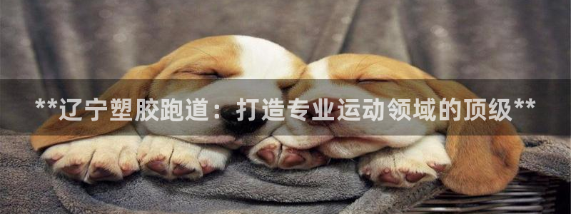 尊龙eight is enough：**辽宁塑胶跑道：打造专业运动领域的顶级**