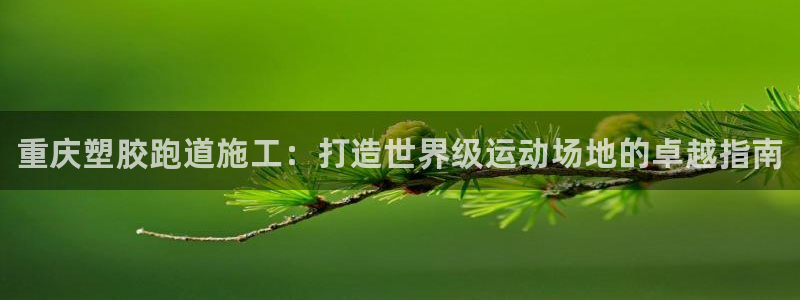 尊龙新版App下载：重庆塑胶跑道施工：打造世界级运动场地的卓越指南