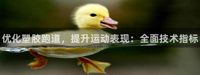 尊龙光学怎么样：优化塑胶跑道，提升运动表现：全面技术指标