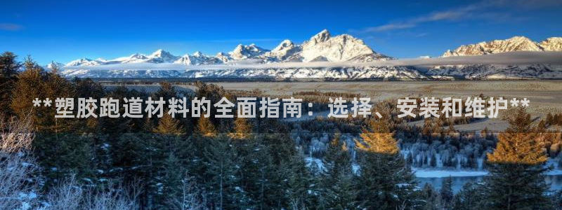 凯时游戏官方网站：**塑胶跑道材料的全面指南：选择、