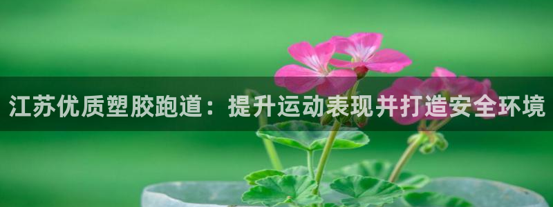 尊龙软件下载：江苏优质塑胶跑道：提升运动表现并打造安全环境