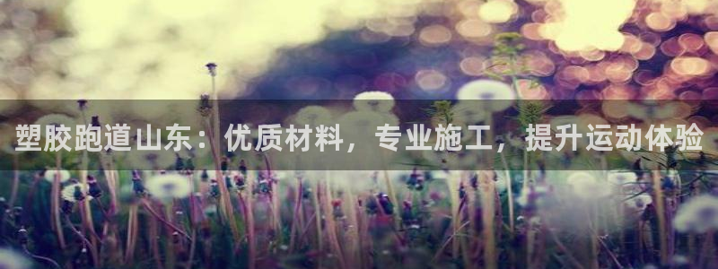 尊龙新版App下载：塑胶跑道山东：优质材料，专业施工