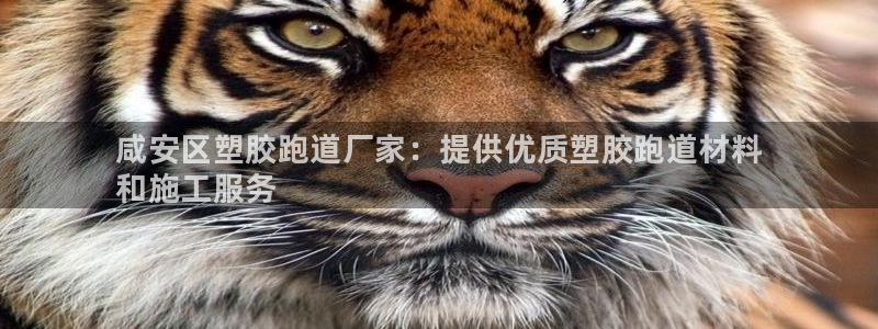 尊龙会ktv价格：咸安区塑胶跑道厂家：提供优质塑胶跑