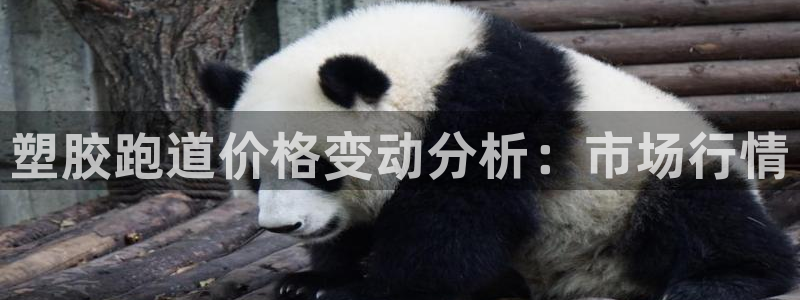 尊龙体育正规么：塑胶跑道价格变动分析：市场行情