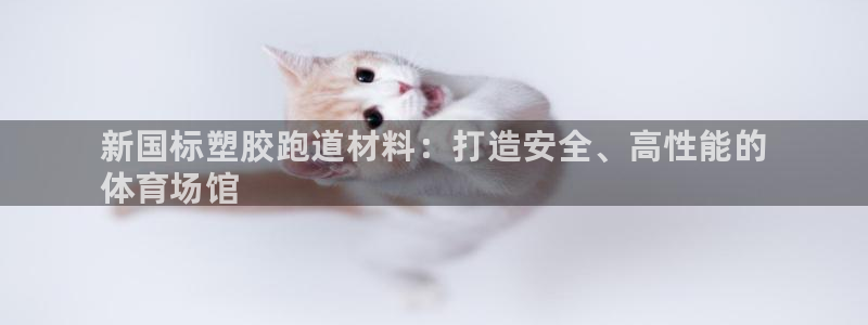 尊龙凯时和九游会哪个平台好一点：新国标塑胶跑道材料：